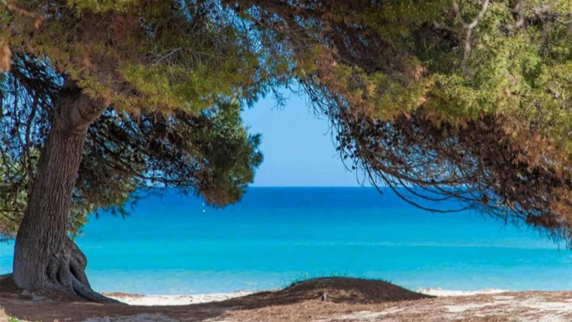 Holiday Home In Alcudia
